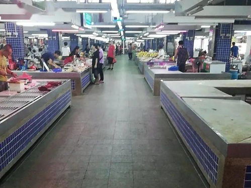 創(chuàng)新高 珠海新一期文明成績(jī)單出爐 得滿分的是