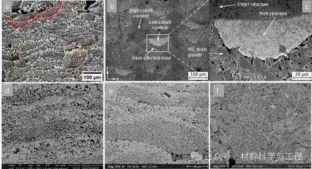 中南大學(xué)頂刊ESI高被引論文:WC-Co硬質(zhì)合金增材制造工藝、顯微組織及力學(xué)性能