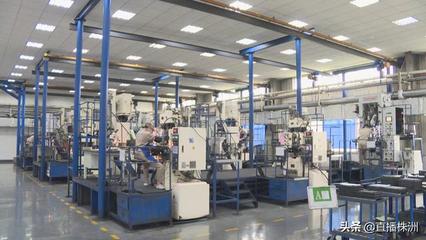 中國鎢業(yè)協(xié)會硬質(zhì)合金分會代表大會在株洲召開